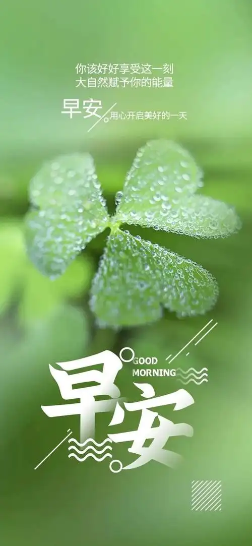 08」早安心语,正能量超美励志问候语录,努力加油片