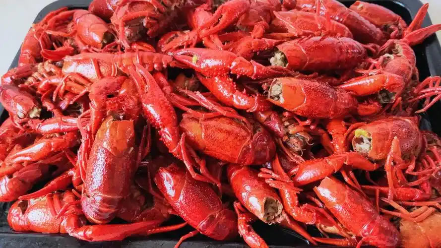 卤水小龙虾商用香料配方开店摆摊都实用好吃入味过瘾