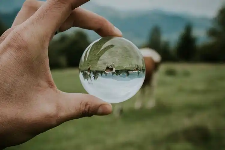 持圆形透明玻璃球的对焦照片