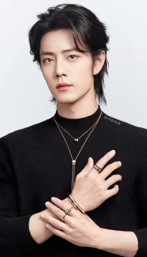 肖战 宝诗龙##肖战