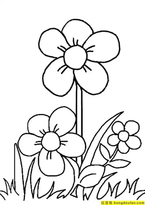 卡通植物解说大全(卡通农场植物大全)-措必培