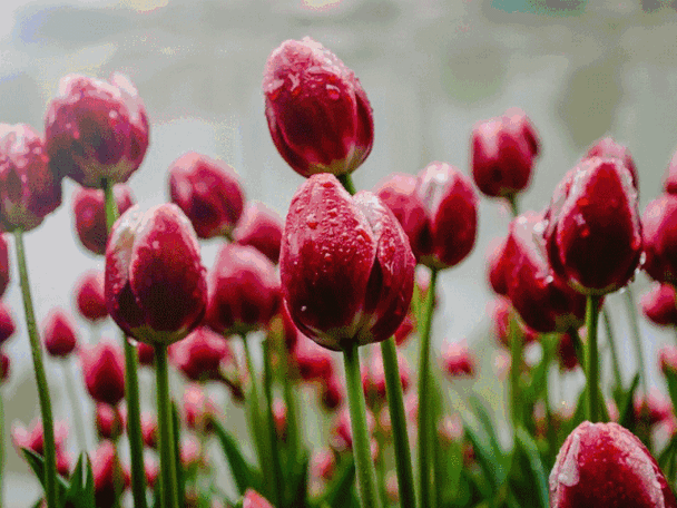 640_480gif 动态图 动图