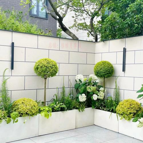 花镜绿植搭配四季常绿亮晶女贞棒棒糖盆栽造型树别墅庭院花池设计