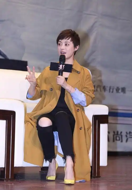 影视明星——孙俪夫妇