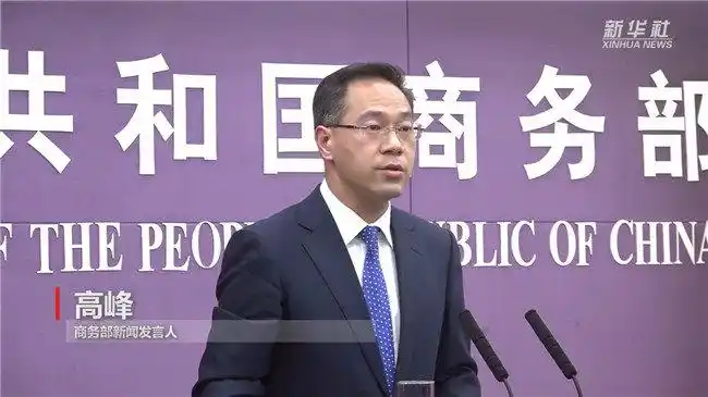 商务部新闻发言人高峰(新华社)