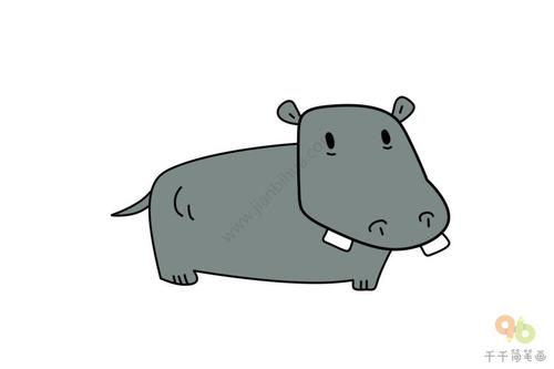 Q版河马简笔涂色画