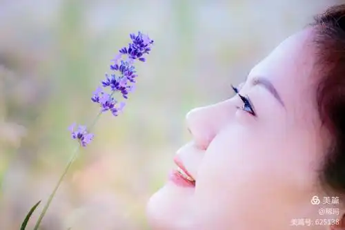 美女.薰衣草.一个都不能少