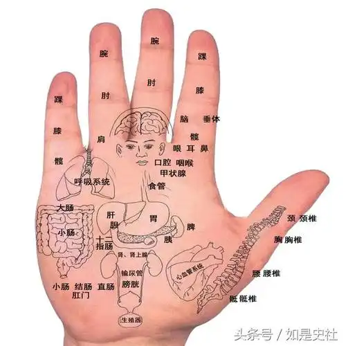 到今天为止,我们用了五篇文章,把金木水火土五行的基本属性和各自的