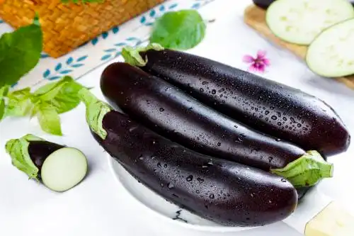 盘子里放着黑茄子 紫茄子