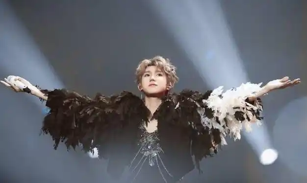 女粉丝穿婚纱赴约,其母被拦门外,放师父赵英俊照片|编剧|王俊凯|古典