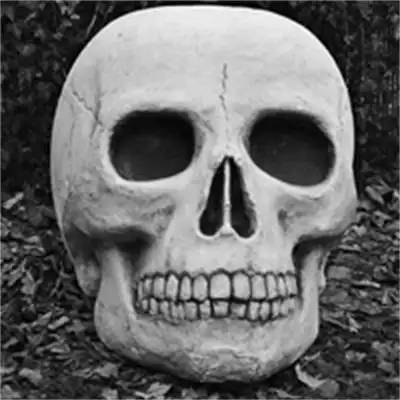 骷髅头像霸气死神高清图片好看的骷髅头图片头像炫酷