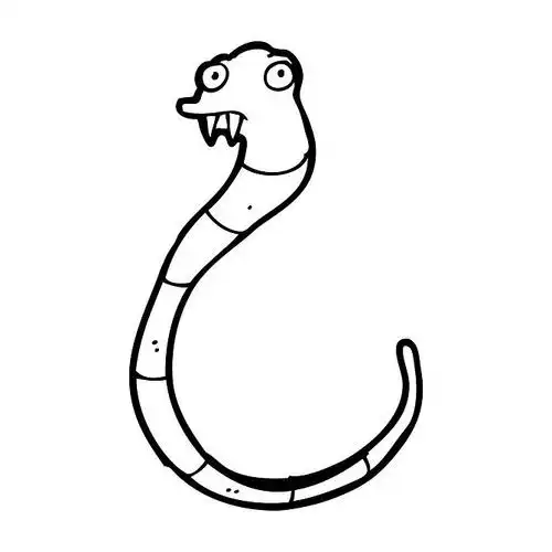 尖牙图片_尖牙高清图片_全景视觉