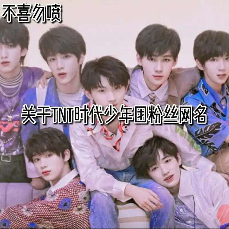 tnt时代少年团粉丝网名 脑子笨,没想出太多