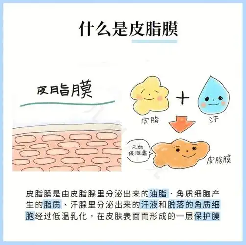 皮肤屏障受损关键|脸上最宝贵一层膜:皮脂膜
