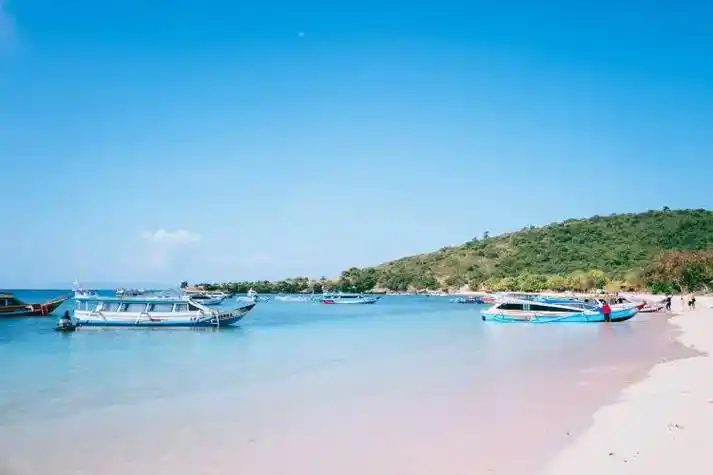 除了科莫多哪里还有粉色沙滩?