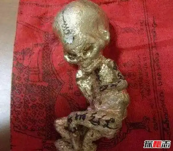 养小鬼被反噬是真的吗(网络传闻)