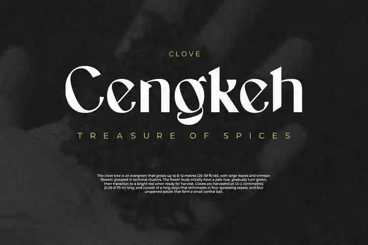 现代标识海报包装设计手写英文字体gofannon