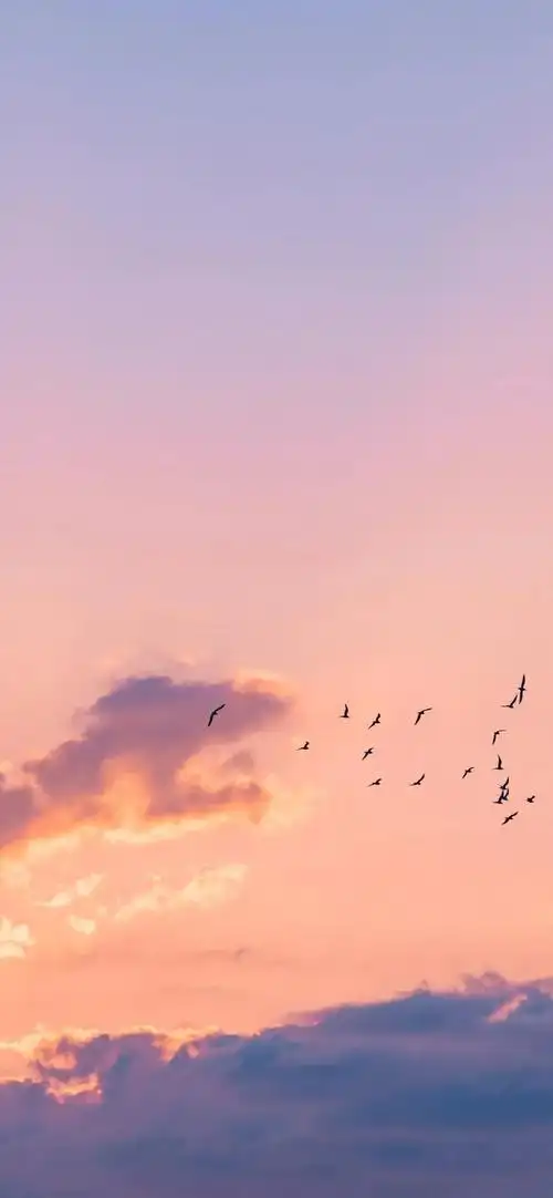 有没有关于天空主题的好看手机壁纸