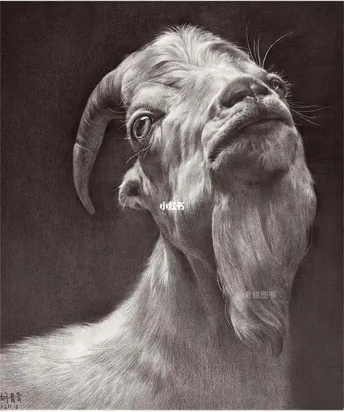 精微素描体係由多名全国顶极茗师联合制作,绝芜仅有!