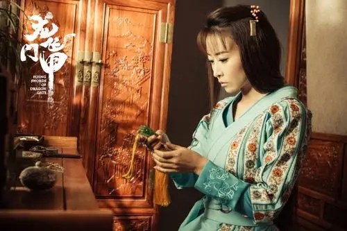 蔡晶盛执导,毛俊杰,聂远,叶璇等主演的古装武侠剧《龙门飞甲》正在