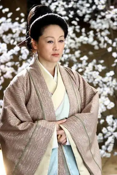 孔雀东南飞剧情