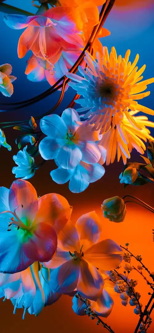 有没有特别荧光的壁纸? - 知乎