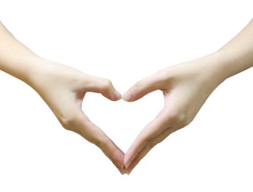 照片爱心图片大全