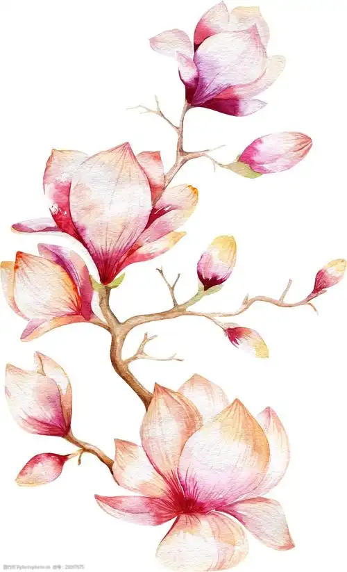 关键词:粉色桃花卡通透明素材 粉色 桃花 浪漫 俏皮 可爱