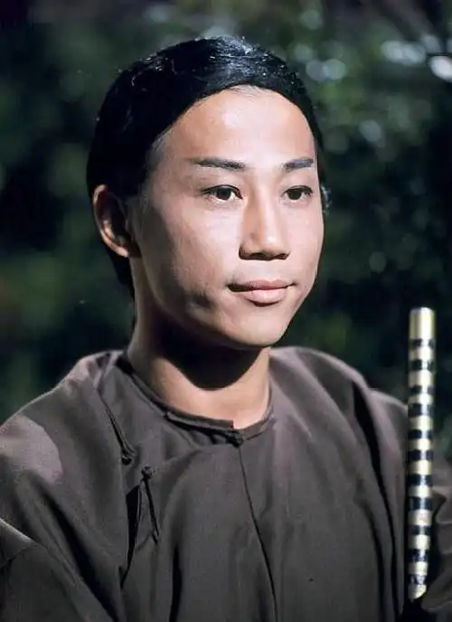 夏雨是香港著名男演员,曾出演过多部影视剧,其中有四部是根据金庸武侠