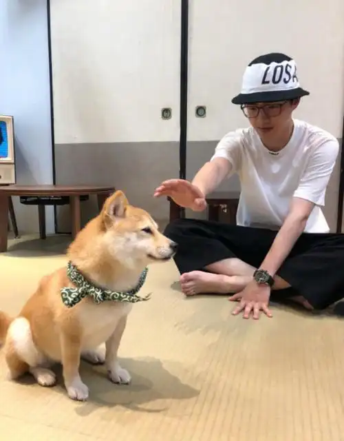 刘昊然的脚,朱一龙的耳环,刘昊然的脚趾,千玺的手纹