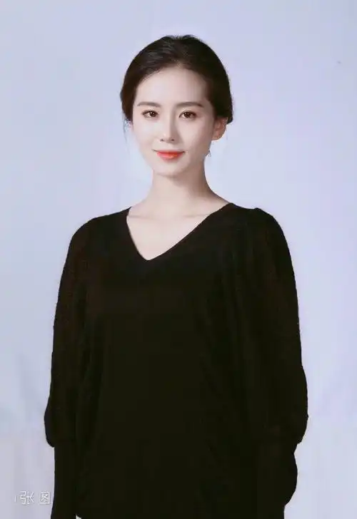 刘诗诗饭制证件照