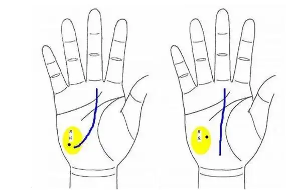 下文手相图解其他纹线包括从地丘上面起与月丘刻成抛物线的片断线条