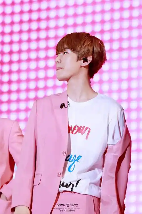 边伯贤89977595150723乐天lovelyyoung演唱会高清壁纸