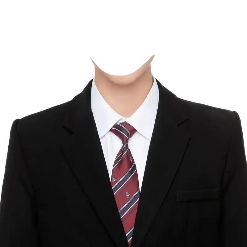 来一组男生露肩证件照正装模板考研秋招必备 配合我前面的醒图换装