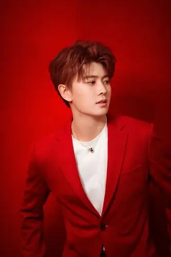 任嘉伦再登北京台元宵晚会任式苏音温暖治愈