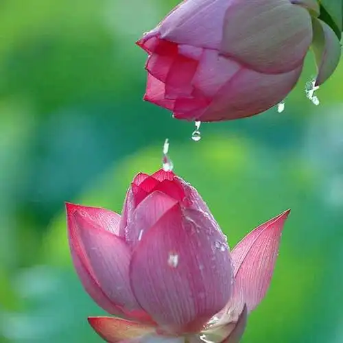 微信比较有内涵的头像图片_头像图片_扣扣乐园