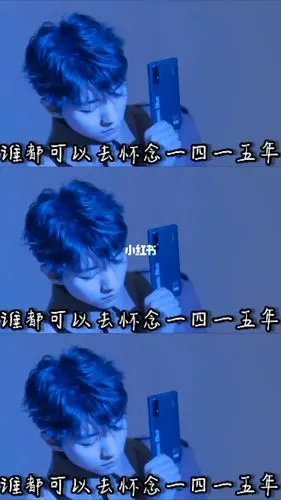 苏皖[审核员](作者)02-281415年是王俊凯被黑的最厉害的两年,朝阳公园