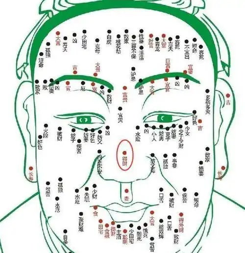 天轮有痣,人轮有痣,地轮有痣 女人左耳轮痣图解