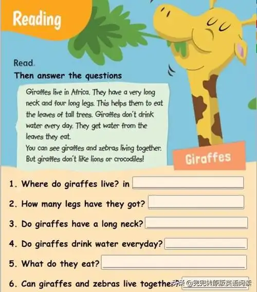 长颈鹿英语怎么说(长颈鹿英语怎么说复数)-我的快乐小窝