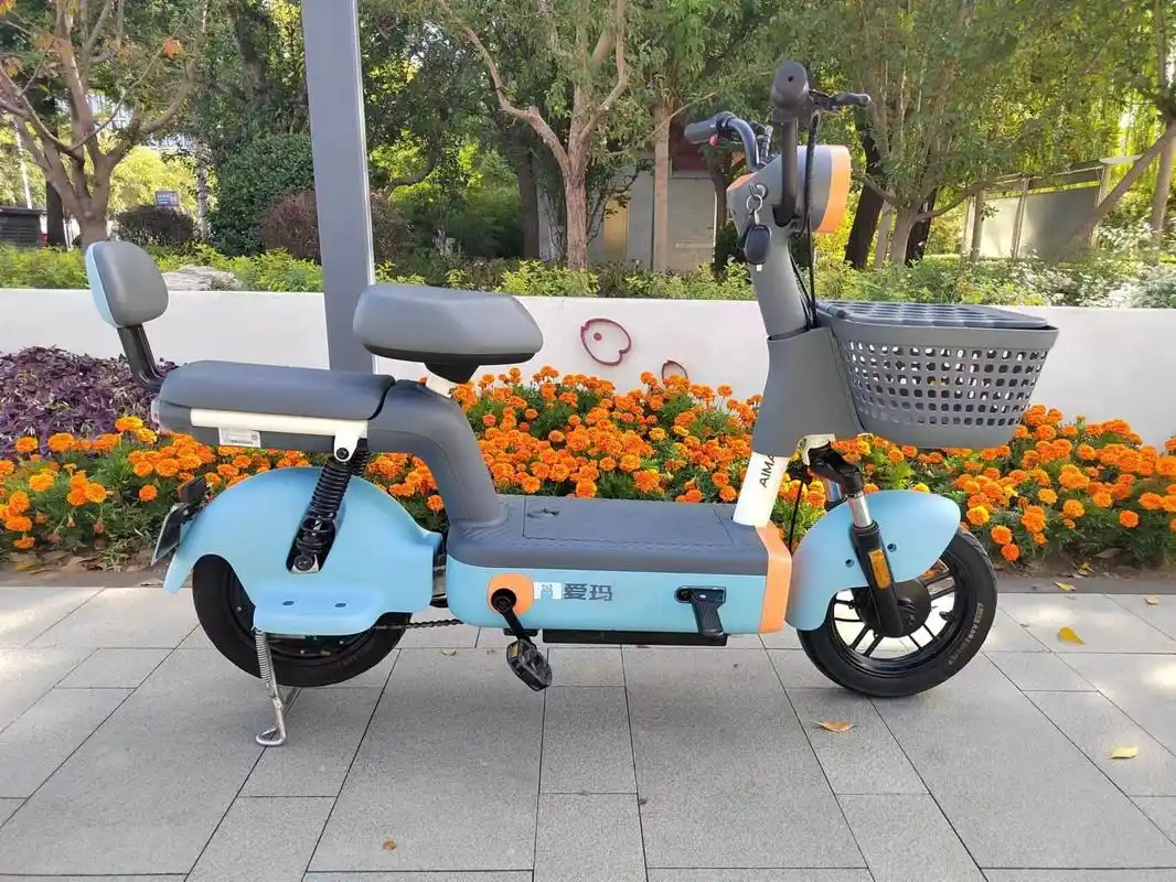 刚买4个月 爱玛泡泡顶配版电动车,2023年6月份购入,48v24a锂电池,需要