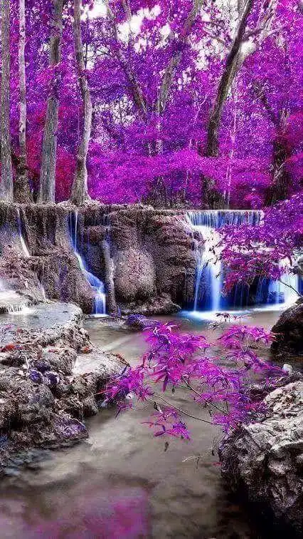 活着,就要笑对每一天开开心心地去生活快快乐乐地去吃饭人的一生本没