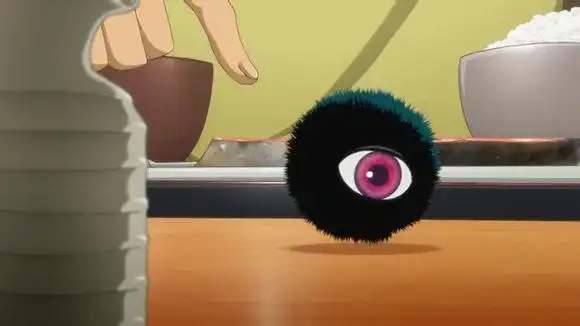 久违的毛野,久违的大黑毛球,一家三口真好呢!