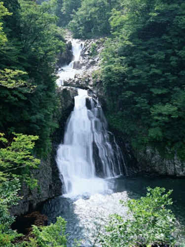 精美动态风景图 - 金色书苑 - 金色书苑