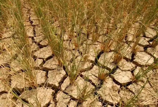 中国16省市重度缺水6个省极度缺水组图