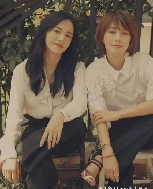 姚晨,刘涛,女明星罕见同框,谁才是气质合照高手?