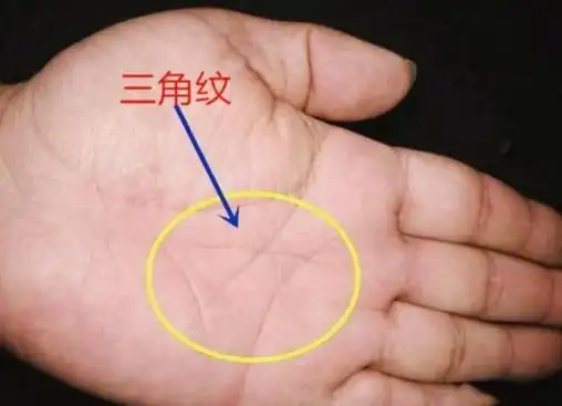 三角纹预示富贵探索手相学解读财富秘密
