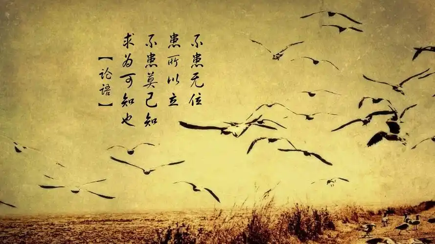 56m上传时间:2020-06-16壁纸标签:文字论语文字控壁纸封面图文字 论语