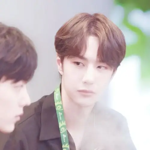 王一博×肖战情头 二传注明dt杨启乐