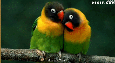 467_255gif 动态图 动图