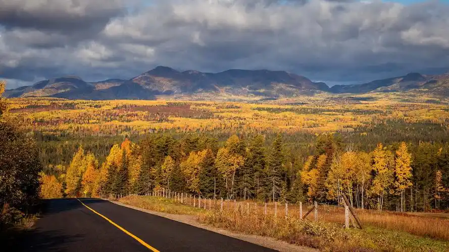 唯美浪漫秋日风景桌面壁纸